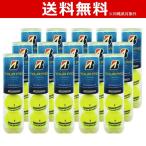 BRIDGESTONE ブリヂストン TOUR PRO ツアープロ 1箱 15缶/60球 テニスボール「smtb-k」「kb」 『即日出荷』