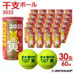 「365日出荷」ダンロップ DUNLOP 硬式テニスボール  干支ボール 2022年「寅」FORT フォート  2個入 1箱 30缶/60球  DFE22ETOYL2DOZ 『即日出荷』