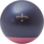 ハタチ 健康・ボディケア設備用品  ジムボールStayPlus 55cm NH3620