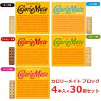 大塚製薬 カロリーメイト ブロック 5種類から選べる4本入×30箱セット 備蓄 防災 まとめ買い 手軽に栄養補給