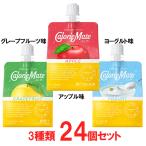 大塚製薬 カロリーメイトゼリー 3種 24個セット SSJM-CMJELLY
