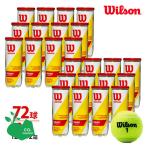 「365日出荷」「SDGsプロジェクト」「2箱セット」Wilson ウイルソン CHAMPIONSHIP EXTRA DUTY 3球×24缶=72球 WRT100101 テニスボール