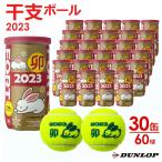 「365日出荷」ダンロップ DUNLOP 硬式テニスボール 干支ボール 2023年「卯」FORT フォート  2個入 1箱 30缶/60球  DFE23ETOYL2 『即日出荷』
