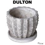 セメント ポット カクタス エキノプシス M ダルトン DULTON 鉢 植木鉢 エクステリア ガーデニング プランター 鉢植え プランター鉢