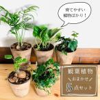 商品画像2