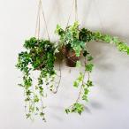 おしゃれ観葉植物吊り下げ壁掛けイン...