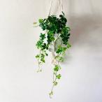  decorative plant hanging lowering stylish ornament interior shuga- Vine flight hanger 4 number 