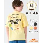 クリフメイヤー キッズ KRIFF MAYER KIDS 子供服 半袖 速乾 綿 綿100 コットン 小学生 中学生 2025SS カラフル バックプリント Tシャツ 恐竜