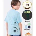 クリフメイヤー キッズ KRIFF MAYER KIDS 子供服 半袖 トップス Tシャツ バックプリント 魚 綿 コットン 小学生 中学生 2025SS 光る! 生き物 Tシャツ 深海