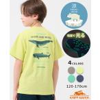 クリフメイヤー キッズ KRIFF MAYER KIDS 子供服 半袖 トップス バックプリント クジラ サメ 接触冷感 2025SS 涼タッチ シャリ Tシャツ 最大対決