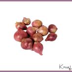  сырой овощи ho mten красный tama лук-батун 100g