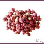 生野菜 ホムデン 赤タマネギ 1kg