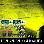 LED противотуманая фара H3 H8 H11 H16 HB4 зеленый Apple зеленый лимон 12V lime зеленый зеленый водонепроницаемый . свет . покупка 