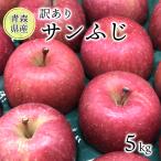 りんご　5kg　訳あり　サンふじ 青森県産
