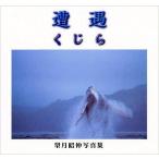 .. кит полнолуние .. фотоальбом 