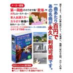 ショッピングカラオケ DVDカラオケ全集 VOL.4　Best Hit Selection 100