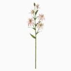 tsu Insta - Lilly FM7971-48