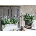 プランター　ガーデニングプランター　鉢　寄せ植え　ガーデニング雑貨　「コレットプランターB-S-IV」