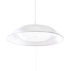 瀧住電機工業 LEDペンダント RV12756