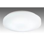ショッピング2011 スワン電器 LEDコンパクトシーリングライト CE-2011
