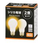 オーム 白熱電球（２個入り） LB-D563