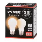 オーム 白熱電球（２個入り） LB-D565