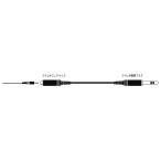 JVC изменение аудио код стерео Mini Jack - стерео стандарт штекер (3m) EXC-13A