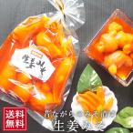 生姜みそ 240g×2袋 味噌漬け 漬物 しょうが ショウガ みそ漬 生姜味噌 お取り寄せ お試し 食品 冷え性 冷え性改善 温活 つまみ 送料無料