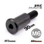 64チタン ホンダ クラッチレバー ピポットボルト M6×30 P1.0 ブラック NSR250R 全年式 グロム CBR250RR MC51 CBR650R RH03 チタンボルト