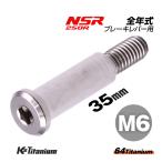 チタンボルト M6×35 P1.0 シルバー 1本 ピポットボルト スレッド 12mm ホンダ NSR250 ハンドル ブレーキ レバー ボルト バイク レストア