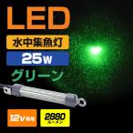 水中集魚灯 LED 12v専用 グリーン 25w 