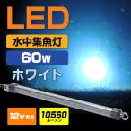 集魚灯 水中 ホワイト 10560ルーメン 60w 12v LED 白色 集魚灯LED イカ シラスウナギ漁 夜釣り ホタルイカ スルメイカ 太刀魚 アジング メバリング