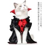  Halloween костюмированная игра кошка костюмированная игра собака домашнее животное одежда костюм . женщина женщина король Mahou Tsukai . женщина чёрный кошка кошка для одежда кошка менять оборудование преображение симпатичный 