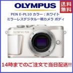オリンパス OLYMPUS PEN E-PL10 ミラーレス一眼カメラ ボディ NEW 新品 人気のカラー ホワイト