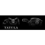 ショッピングタトゥー ダイワ 24タトゥーラ TW 100H DAIWA TATULA TW 100H