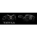 ダイワ 24タトゥーラ TW 100XHL DAIWA TATULA TW 100XHL