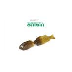 一誠 ギルギル 2.8 Gill Gill ISSEI イッセイ