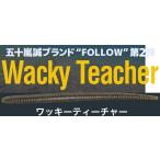 フォロー ワッキー ティーチャー 5 FOLLOW Wacky Teacher 5