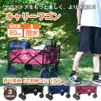 キャリーワゴン キャリーカート 折りたたみ コンパクト 耐荷重80kg ショッピングカート 荷物 移動 キャンプ 大容量 海水浴 シート一重構造 ad113