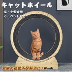 猫-商品画像