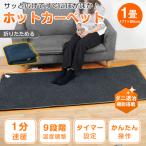 ホットカーペット 1畳 1畳用 電気カーペット 電気マット カーペット 節電 ダニ退治 折り畳み 温度調節 おしゃれ 1分速暖 タイマー機能 江戸間 sg095a