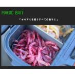  Magic Bait Magic пудра 