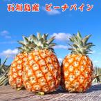  предварительный заказ распродажа 4 месяц сверху . отправка предположительно ананас фрукты фрукты Nankoku подарок День матери Okinawa префектура производство Ishigakijima производство pi-chi сосна 3 шар /6 шар сосна сельское хозяйство дом прямая поставка 