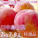 川中島白桃 桃 お中元 フルーツ 特選品 2kg 7-8玉入り