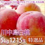 川中島白桃桃お中元フルーツ特選品5...