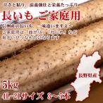 長芋 「秋の新堀り」 訳あり 3〜5本 4L-2L 5kg 粘りと味が一味違う長野県産です
