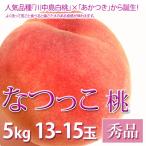 なつっこ桃お中元フルーツ秀品5kg...