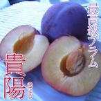 .. подарок на Bon Festival высший класс слива 2kg большой шар размер Shinshu производство 