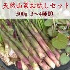 .. дикоросы комплект натуральный было использовано 500 грамм [3-4 вид ] Nagano префектура производство .:5 месяц сверху .~6 месяц последняя декада 