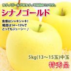シナノゴールドご贈答ギフト長野県産...
